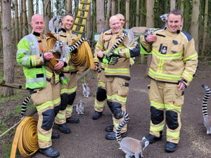Supporting image for story: Firefighters donate old hoses to Telford zoo to be turned into climbing frame for animals