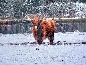 Photo by Josh Sedgley