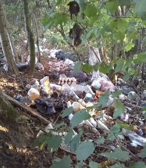 Litter discarded along the Whitchurch bypass