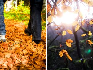 Supporting image for story: “Bright or sunny spells” forecast for the West Midlands as Storm Amy clears