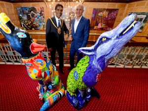 Supporting image for story: Wolves in Wolves officially launched - with pictures and video