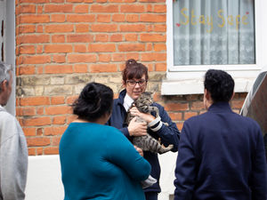 Supporting image for story: RSPCA called to more than 900 incidents across Shropshire during lockdown