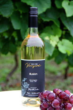 Shropshire Vineyard launches a new White wine made from Redgrapes