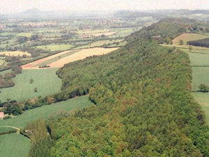 Supporting image for story: Tourist apartments planned for Shropshire beauty spot
