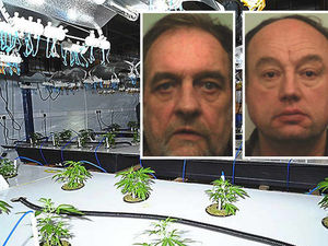 Supporting image for story: Shropshire cannabis factory pair get jail terms