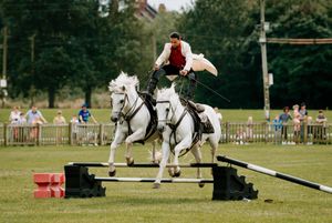 Guido Louis Equestrian Stunt Team