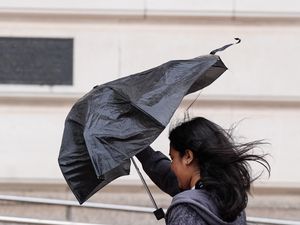 Supporting image for story: Trains cancelled, properties without power and trees down across Shropshire as high winds batter county