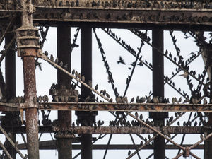 Photo taken by Andrew Fusek Peters, pro wildlife photographer