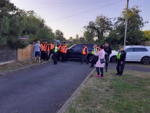 Supporting image for story: Bitter Wolverhampton land dispute with horse rescue operator takes new twist as animals removed from field