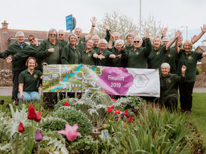 Supporting image for story: Newport prepares to bloom for judges