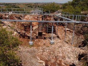 Supporting image for story: Recent human ancestors may have climbed trees, research suggests