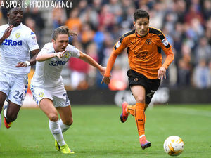 Supporting image for story: Wolves 0 Leeds 1 - Report and pictures