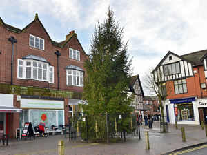 Supporting image for story: Unlucky for some? Market Drayton's Christmas tree is still up
