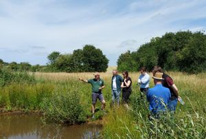 MPs looking at on farm wildlife areas to promote habitat and species