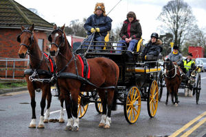 Supporting image for story: Video and pictures: Horses and carriages parade in the streets of Shropshire despite poor weather