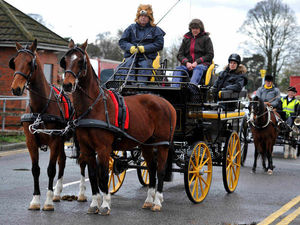 Supporting image for story: Video and pictures: Horses and carriages parade in the streets of Shropshire despite poor weather