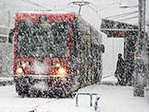 Supporting image for story: Arctic chill grips region