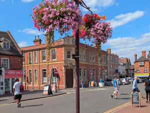 Supporting image for story: ‘Shrewsbury can’t put on its flower show - so why not have one in Bridgnorth?’ Town’s Pride organiser in bold proposal