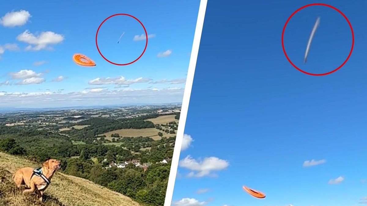 I spotted high-speed UFO in the West Midlands - after watching back a video of my dog