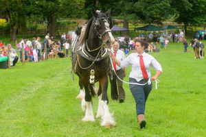 Supporting image for story: Sun shines on Weston-under-Redcastle Village Show