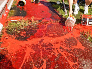 Supporting image for story: Clean up at Pelsall Villa begins after £5,000 vandal attack