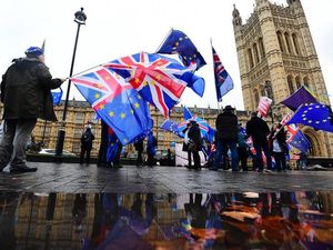 Supporting image for story: LETTER: Brexit is just wishful thinking