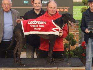 Supporting image for story: Big Mick looks Bang On for a landmark victory at Monmore