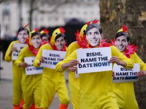 Supporting image for story: Peter Rhodes on a shameful law, a cluck of chickens and the green-bin bill