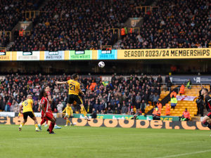 Supporting image for story: Dave Edwards: Wolves need to seize the moment on both fronts