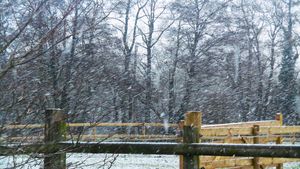 Snow in Rushbury, Shropshire. Photo: Peter Steggles.