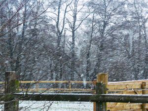 Supporting image for story: Snow falls in Shropshire amid 'yellow' weather and travel disruption warnings covering the region
