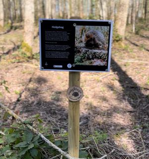 Buzzards Valley is a great place for wildlife to dwell in.