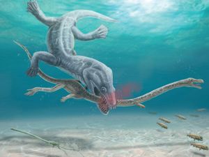 Supporting image for story: Pre-historic long-necked reptiles were decapitated by their predators – study