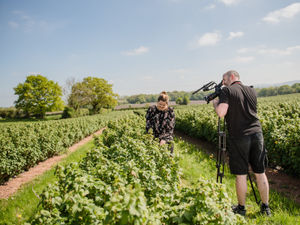 Supporting image for story: Video firm celebrates record year