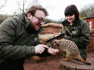 Supporting image for story: Telford zoo's stock take sees staff counting every animal from the largest to the smallest