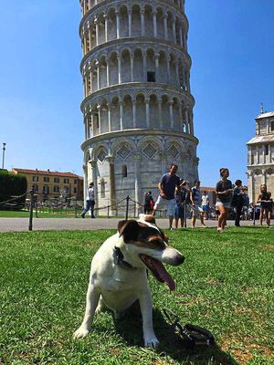 Skipper at the Leaning Tower of Pisa