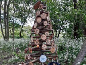 Supporting image for story: Community art projects unveiled at Dudley nature reserve