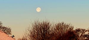 From Milking Bank in Dudley by Melvin Cooper