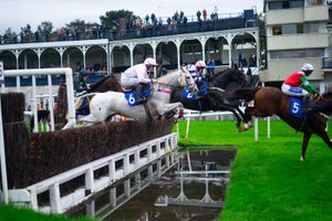 Race six of the seven-race card: Ludlow Brewing Company Handicap Chase Photo Aaron Wilson
