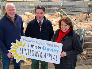 Supporting image for story: Generous Shropshire farmers get ball rolling on auction centre fundraising for Lingen Davies