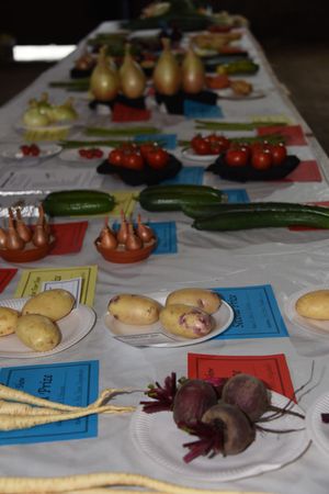 Some of the prize winning produce at a previous show