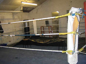 Supporting image for story: Two win in ABA Novice quarter-finals