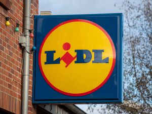 Supporting image for story: Lidl cheers record Christmas sales surge despite pandemic