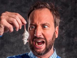 Supporting image for story: Tom Green and Brendon Burns, O2 Institute, Birmingham - review