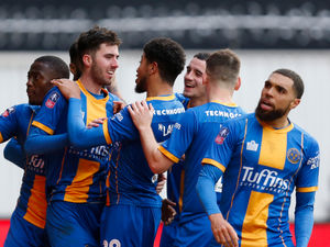 Supporting image for story: FA Cup: Bristol City 1 Shrewsbury Town 1 - Report and pictures