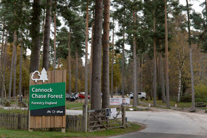 Cannock sits within an area of outstanding natural beauty