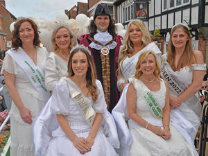 Supporting image for story: No standing army but plenty of fun at latest traditional Lichfield Bower festival