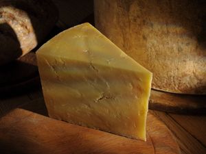 Wedge of mature cheddar cheese on board with whole cheese and bread in background