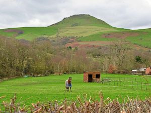 Supporting image for story: Firefighters rescue casualty from Shropshire hillside