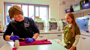 Jamie in the Bird Room with Sami Martin hand feeding baby squabs (pigeons). Image by Eagle Eyed Girl  